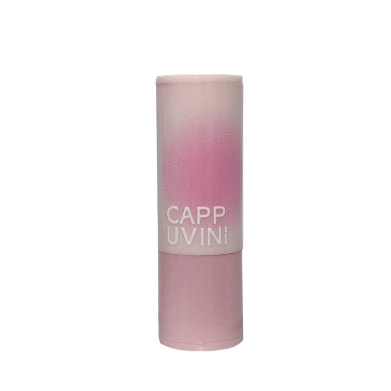 Blush Stick – Monochrome Matte Rouge for Cheeks