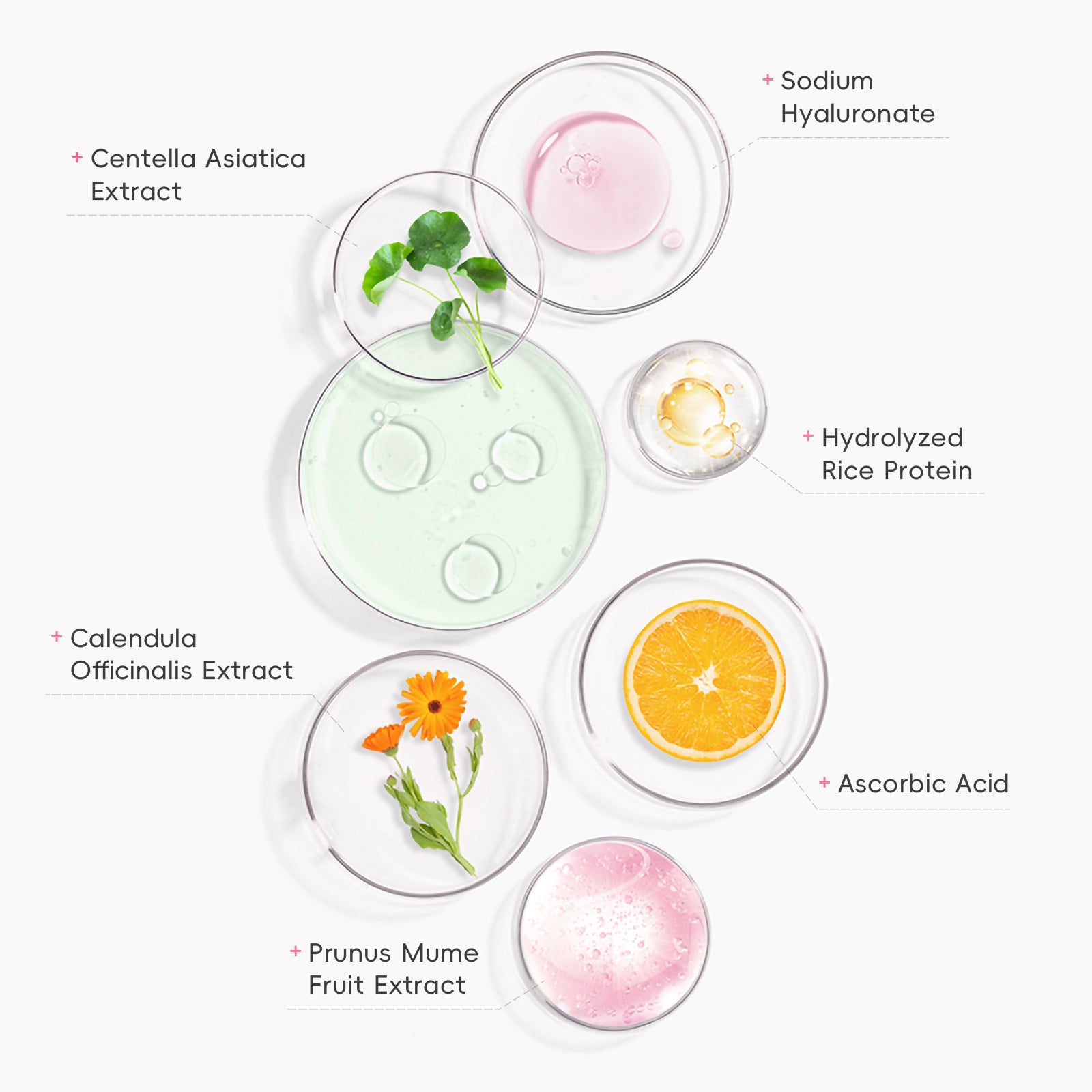 Protective Makeup Primer – Moisturizing & Skin Prep Solution